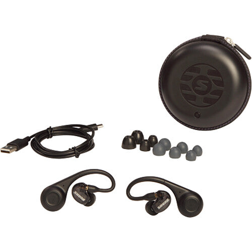 Shure SE21DYBK+TW2