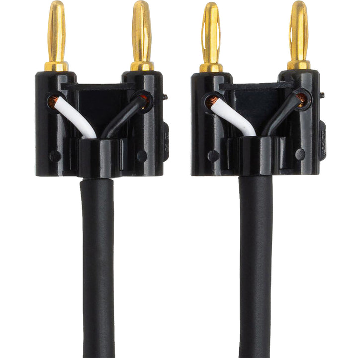 Hosa SKJ-620BB