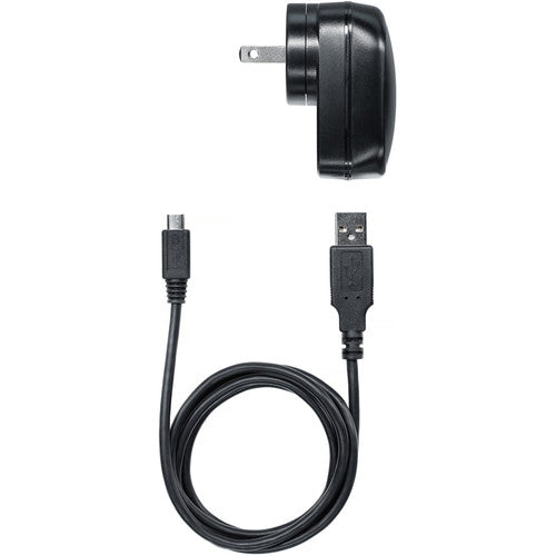 Shure SBC10-MICROB