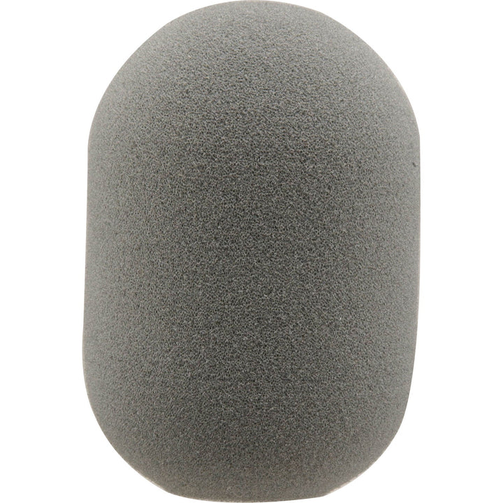 Shure A4WS