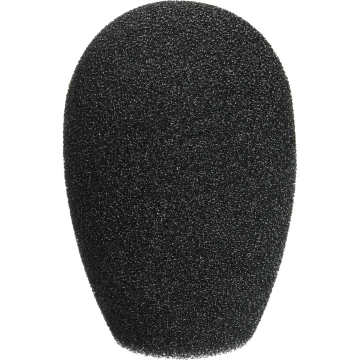 Shure BCAWS1