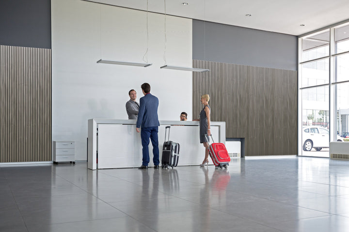 Primacoustic ECOScapes Slat Wall Panel