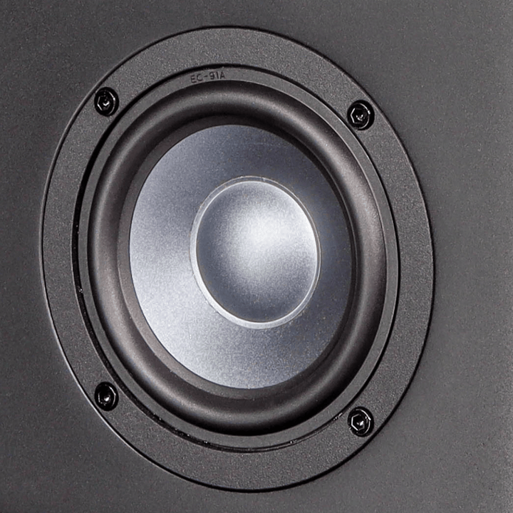 Eve Audio EXO 24