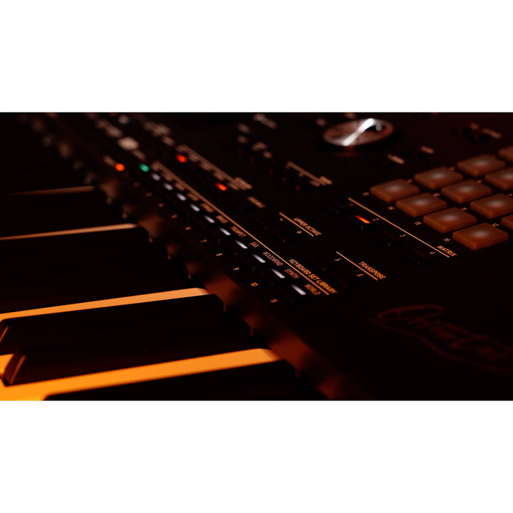 Korg Pa5X-61 Oriental