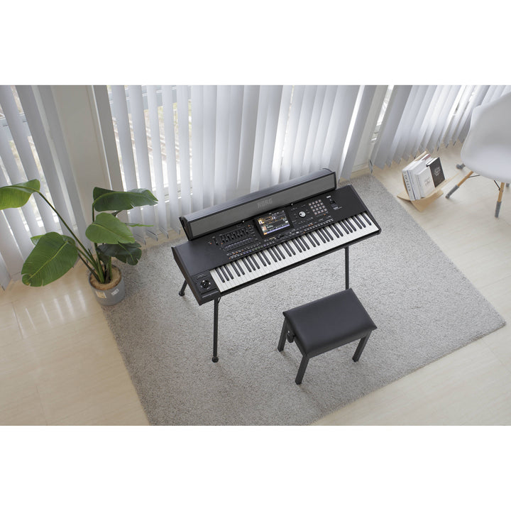 Korg PaAS