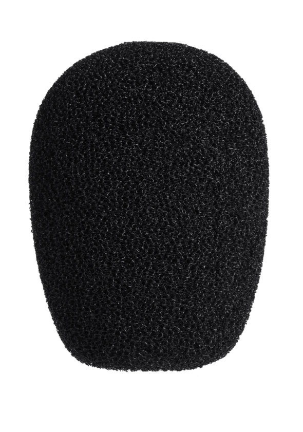 Audio-Technica BPHS2CA