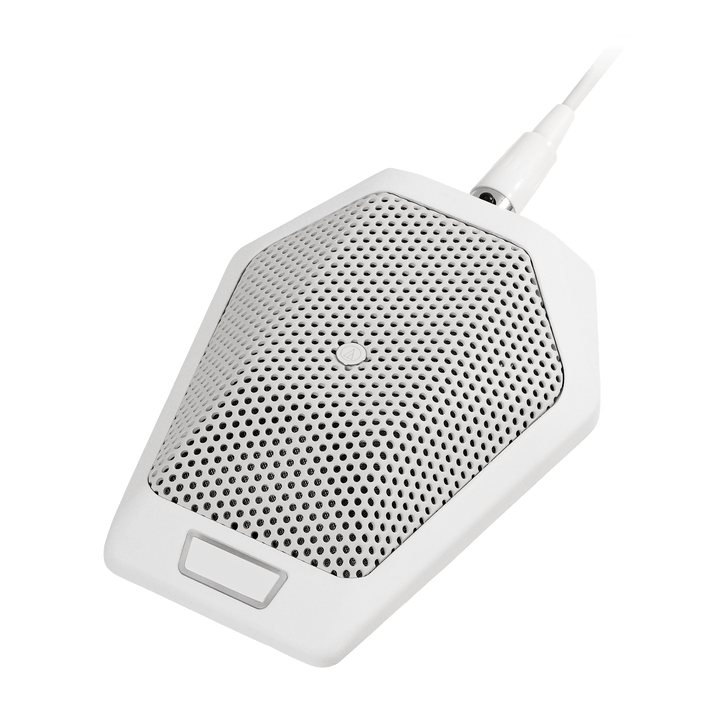 Audio-Technica U891RWB