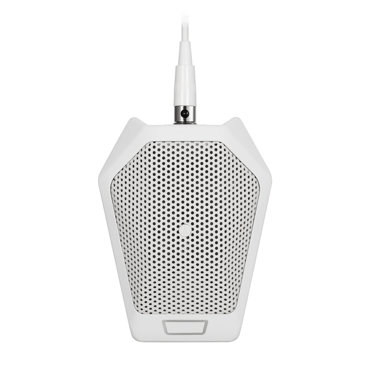 Audio-Technica U891RWB