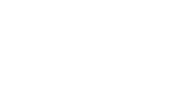 Boz Digital Labs logo