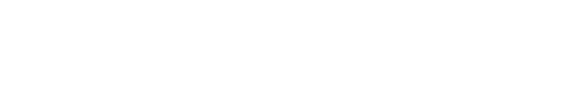 DigiTech logo