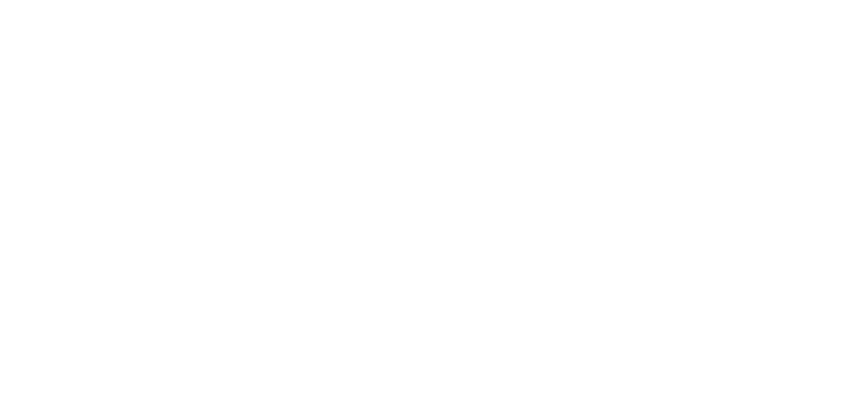 DV Mark logo