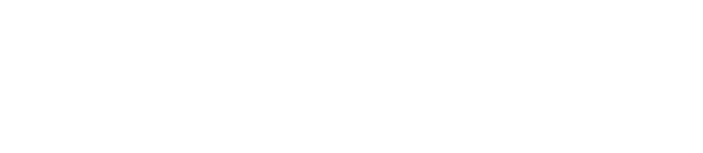 Lewitt Audio