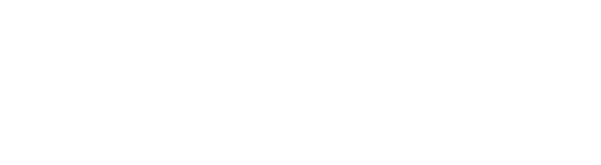 Littlite logo
