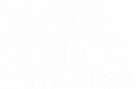 Los Cabos