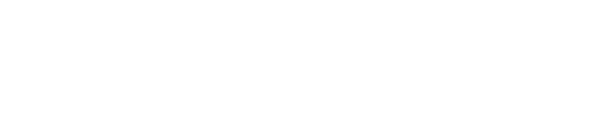 Pigtronix logo
