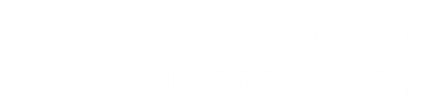 Seymour Duncan