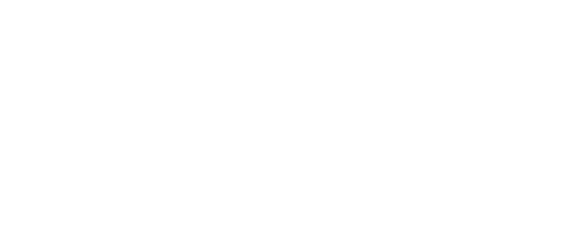 VOX logo
