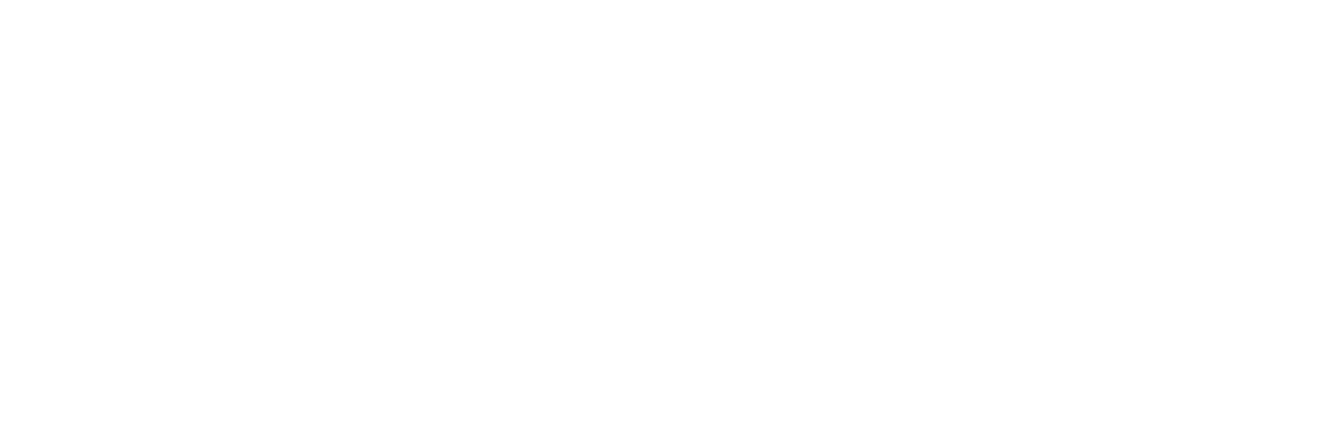 Washburn logo