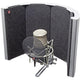 SE Electronics SPACE Specialized Portable Acoustic Control Environment Filter – front view
