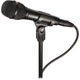 Audio-Technica AT2010