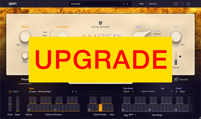UJAM UJAM Upgrade AMBER 2