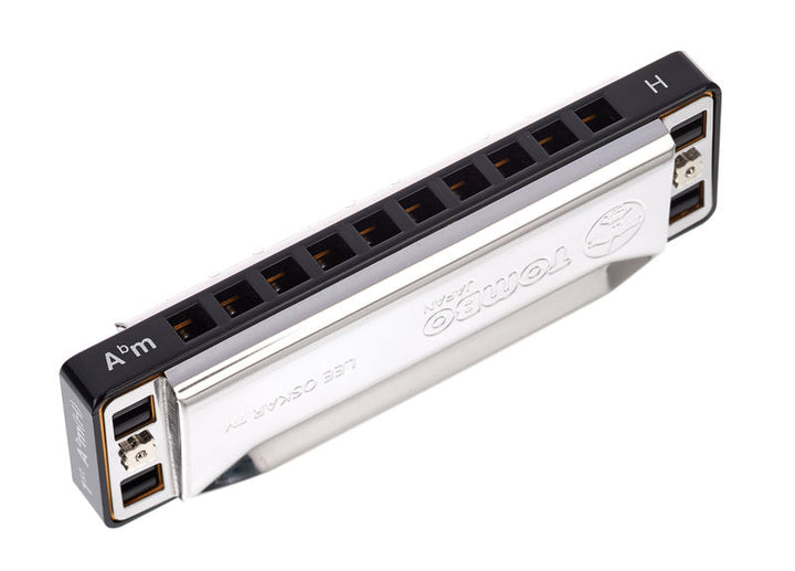 Lee Oskar Lee Oskar Harmonic Minor Harmonica (Ab Minor)