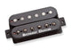 Seymour Duncan Seymour Duncan Black Winter Humbucker Pickup (Set with Trembucker Bridge, 6-String, Black)