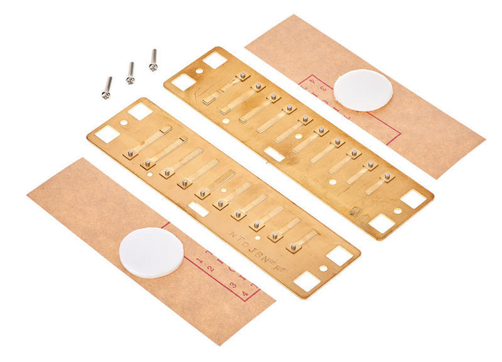 Lee Oskar Lee Oskar Natural Minor Replacement Reed Plates (F# Minor)