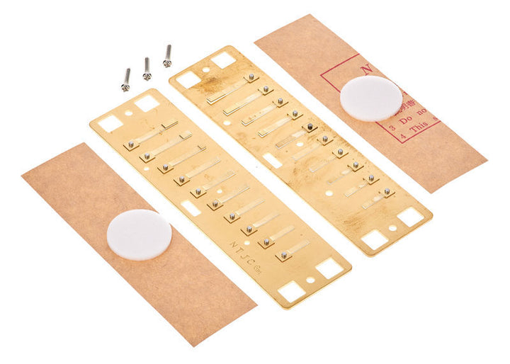 Lee Oskar Lee Oskar Harmonic Minor Replacement Reed Plates (G Minor)