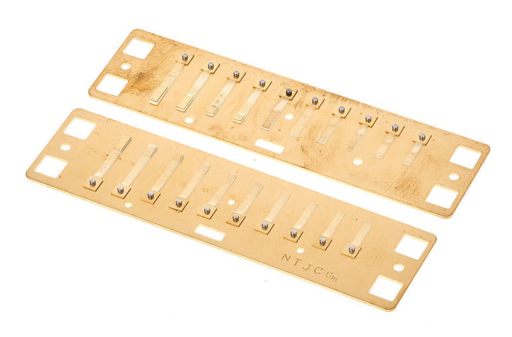 Lee Oskar Lee Oskar Harmonic Minor Replacement Reed Plates (G Minor)