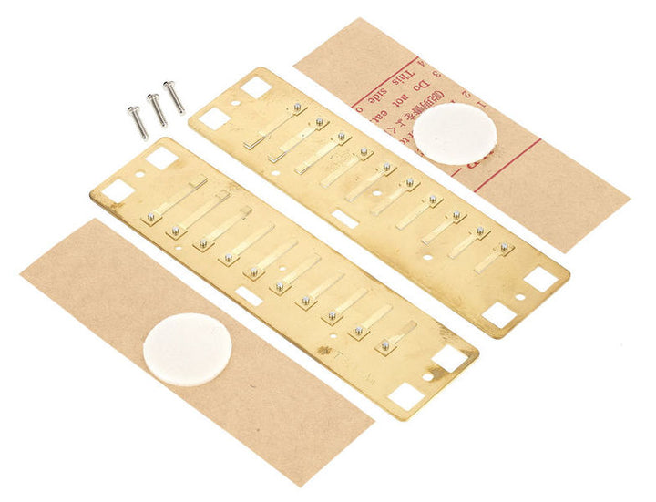 Lee Oskar Lee Oskar Harmonic Minor Replacement Reed Plates (A Minor)