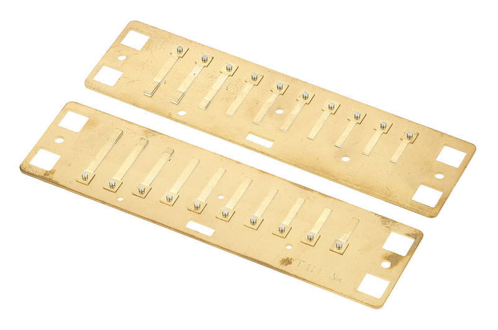 Lee Oskar Lee Oskar Harmonic Minor Replacement Reed Plates (A Minor)