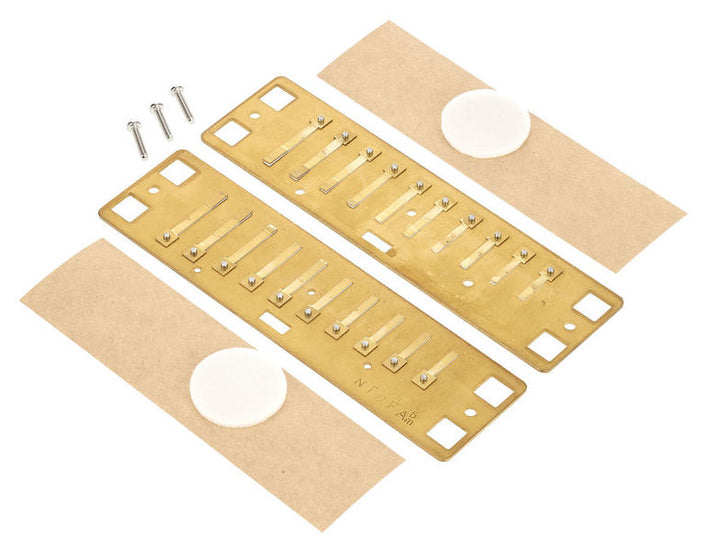 Lee Oskar Lee Oskar Harmonic Minor Replacement Reed Plates (Ab Minor)