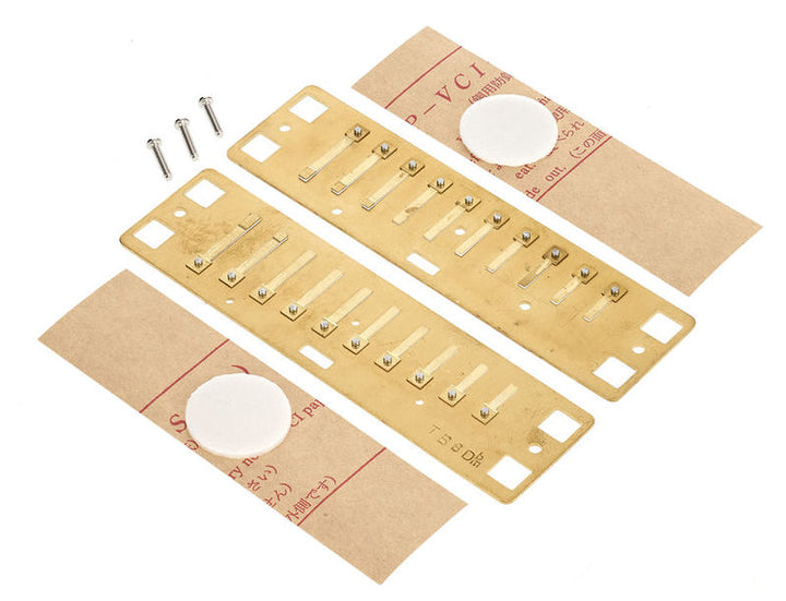 Lee Oskar Lee Oskar Harmonic Minor Replacement Reed Plates (Db Minor)