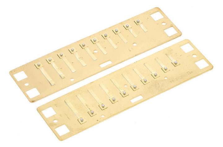 Lee Oskar Lee Oskar Harmonic Minor Replacement Reed Plates (D Minor)