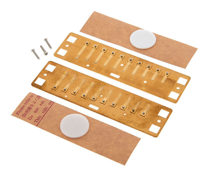Lee Oskar Lee Oskar Natural Minor Replacement Reed Plates (Ab Minor)