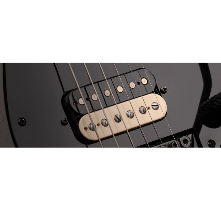 Seymour Duncan Seymour Duncan Duncan Custom Limited Edition 50th Anniversary Custom Shop Humbucker Set (Zebra)
