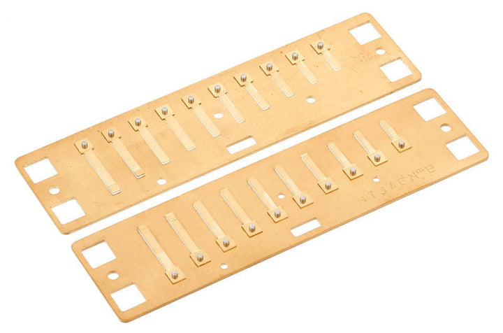 Lee Oskar Lee Oskar Natural Minor Replacement Reed Plates (B Minor)