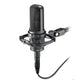 Audio-Technica AT4050ST