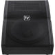Electro-Voice Electro-Voice TX1152FM 15in 2-Way Passive Monitor - 500W- Black