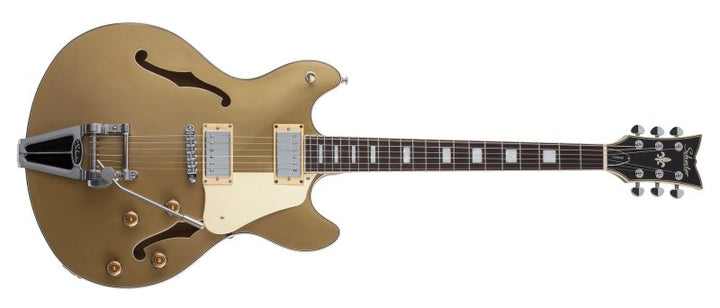 Schecter Corsair Electric Guitar (Gold Top)