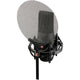 SE Electronics ISOPACK Shockmount and Pop Filter for X1 Series and SE2200 – three-quarter right view