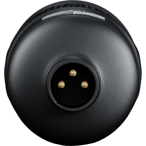 Antelope Audio Edge Solo