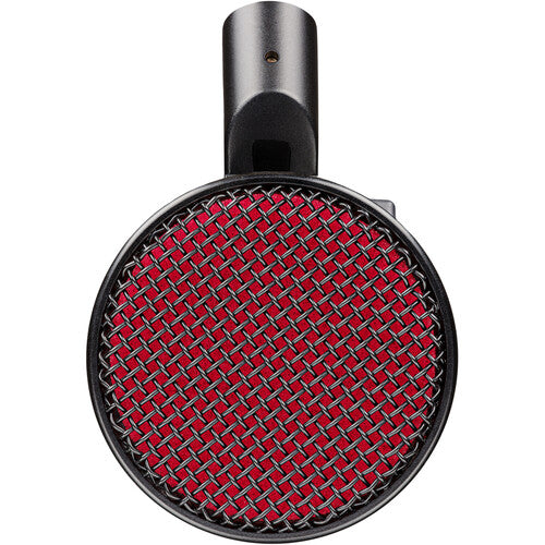 SE Electronics DYNACASTER Dynamic Broadcast Microphone – detail view
