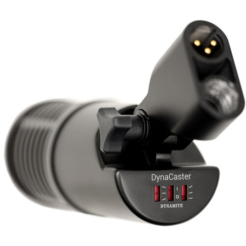 SE Electronics DYNACASTER Dynamic Broadcast Microphone – view 9