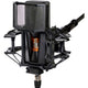 Lewitt PURETUBE STUDIO Tube microphone with 1" true condenser capsule