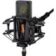 Lewitt PURETUBE STUDIO Tube microphone with 1" true condenser capsule