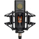 Lewitt PURETUBE STUDIO Tube microphone with 1" true condenser capsule