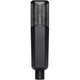 Lewitt PURETUBE ES Tube microphone with 1" true condenser capsule