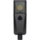 Lewitt PURETUBE ES Tube microphone with 1" true condenser capsule